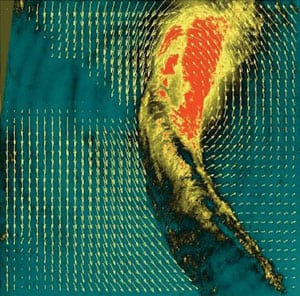 2.	Rope dance. The flow structure of a vortex rope captured by particle image velocimetry.