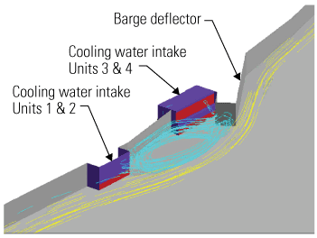 Fish and cooling water intakes: Debunking the myths