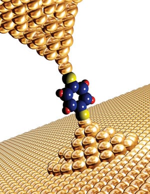 2. Gold standard. A depiction of an organic molecule trapped between two gold surfaces. Creating a temperature difference between the two metal sides produces a voltage and current. Courtesy: University of California, Berkeley