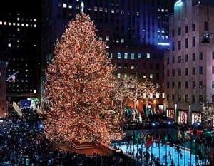 520004df7b6f3-110107_CoalPile_ChristmasTree