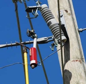 520004da8301d-010109_NewProd_Fig2