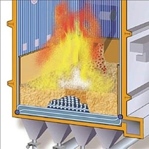 520004db2e2a4-100110_Biomass_Fig1