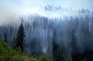Stock-Regional Haze