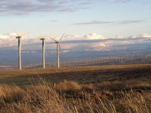 Stock_WindFarmBlueMtn_Commons