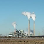Stock_ChollaGenStation_AZ_Oct2013_GReitenbach