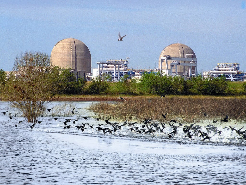 NRG Energy to Sell Texas Nuclear Plant Stake to Constellation in $1.75B Power Move