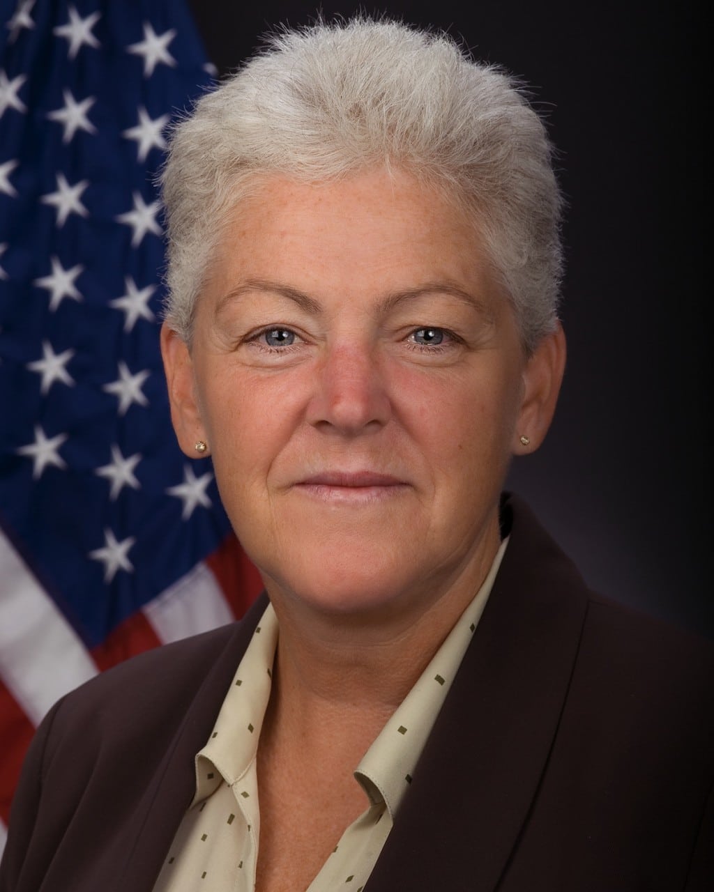 EPA’s McCarthy on Energy Sector Collaboration, Reliability, and 316(b)