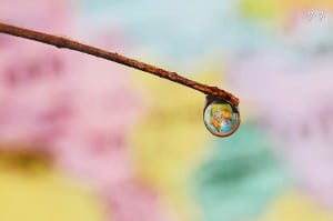 Stock_Earth_Hanging_Water_Drop_Flickr