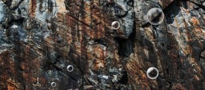 Stock_CO2-sequestration-CCS_MIT