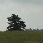 Wind Turbines Boulder County GReitenbach WebCrop
