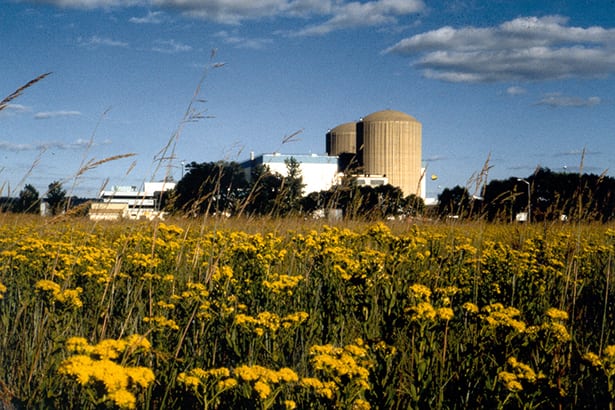 Bill Supporting Xcel Energy Nuclear Plants Dies in Minnesota
