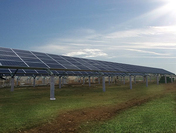 Schletter Group New Greenhouse Mounting System Makes Its Debut In