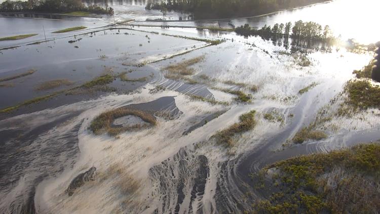 Enviros Dispute State Findings on Coal Ash Spill