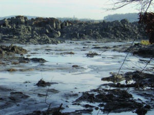 Figure 1 - Kingston-plant-spill-swanpond-tn2