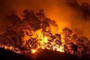 wildfire-hero