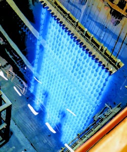 Fig1-Bruce-Power-Cobalt-Harvesting