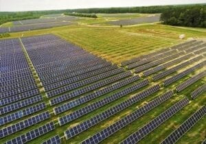 Fern-solar-farm