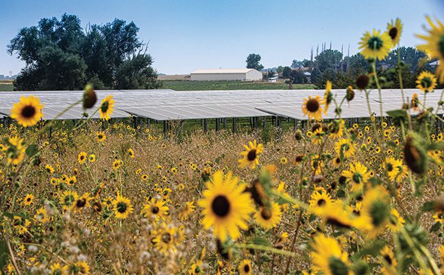Equity in Energy: How Community Solar Is Involved