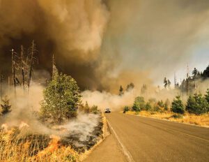 Fig1-marcus-kauffman-wildfire