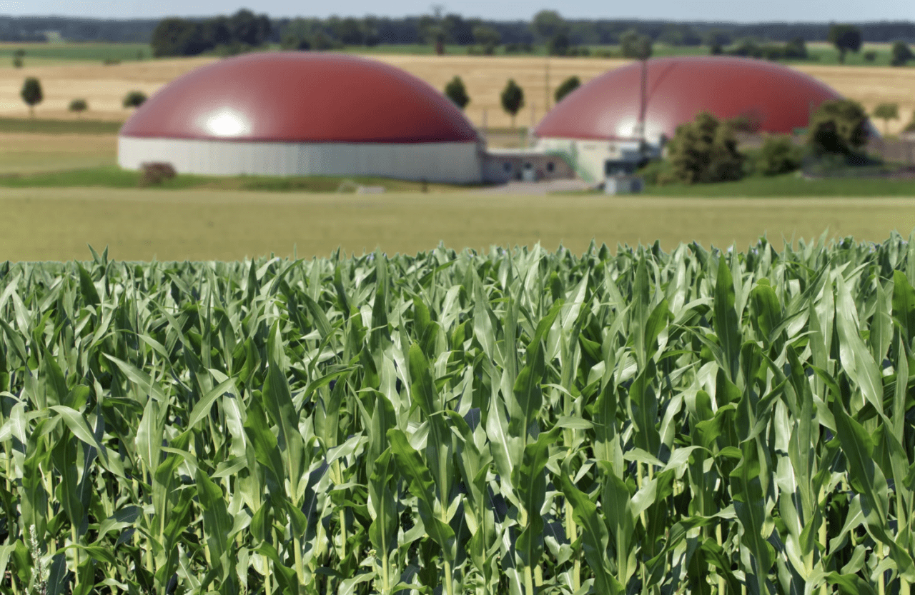 Rng Digester BP Buying Leading RNG Production Group in $4.1 Billion Deal