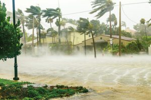 Fig3-hurricanes-microgrids