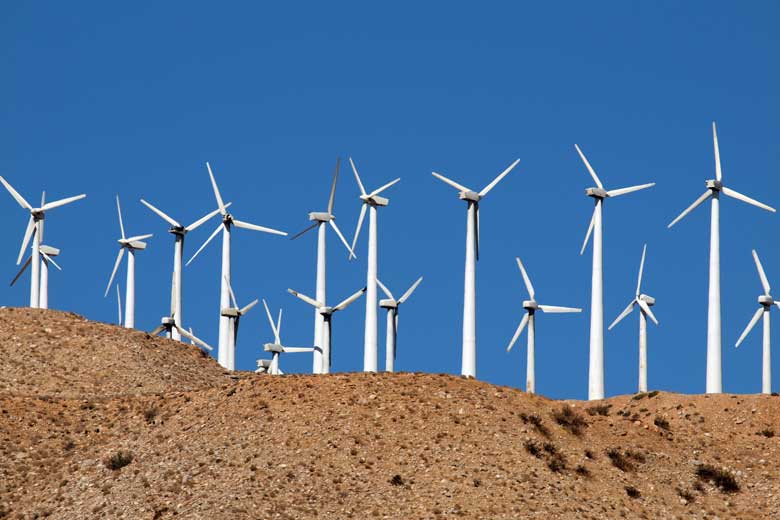Saudi Group Set to Build 10-GW Wind Farm in Egypt