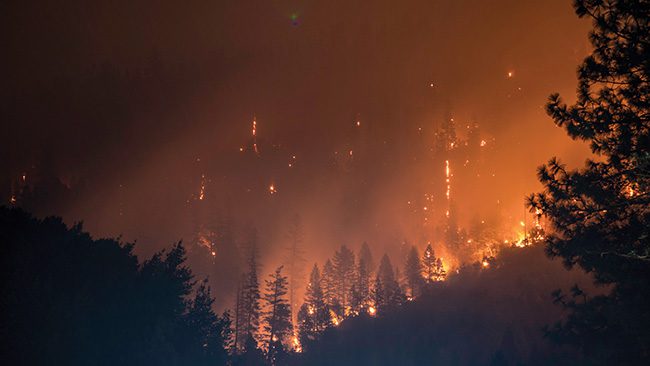 Electric Utility Protocols Can Mitigate Impacts from Wildfires