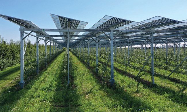 BayWa r.e. Supporting Solar Power for Agriculture Projects