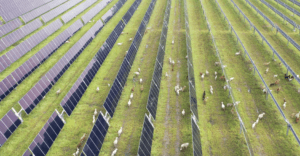 Silicon Ranch solar farm Colorado
