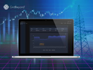 GridBeyond Launches ViewPoint Lens, Supporting Asset Visibility and Control