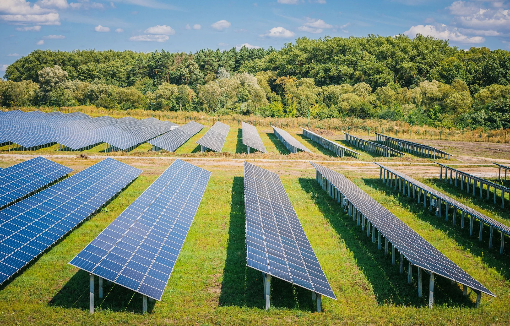 Solar Treaty Oak Clean Energy Adobe stock