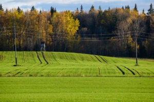 Electric Cooperative Leaders Advocate for Federal Policies Essential to Maintaining Affordable, Reliable Power