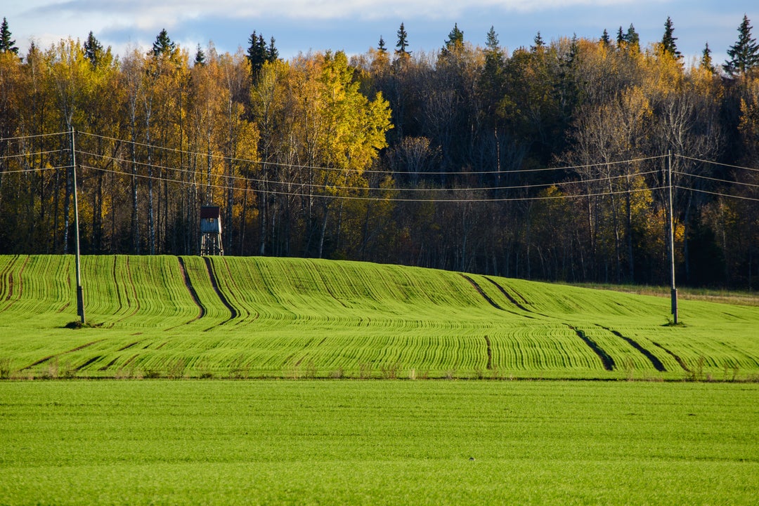 Electric Cooperative Leaders Advocate for Federal Policies Essential to Maintaining Affordable, Reliable Power