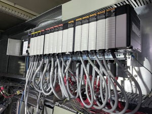 Fig3-IMG_8099_c