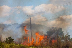 Fig4-wildfire-consuming-field-near-utility-pole-smoke-2026-01-07-02-23-11-utc
