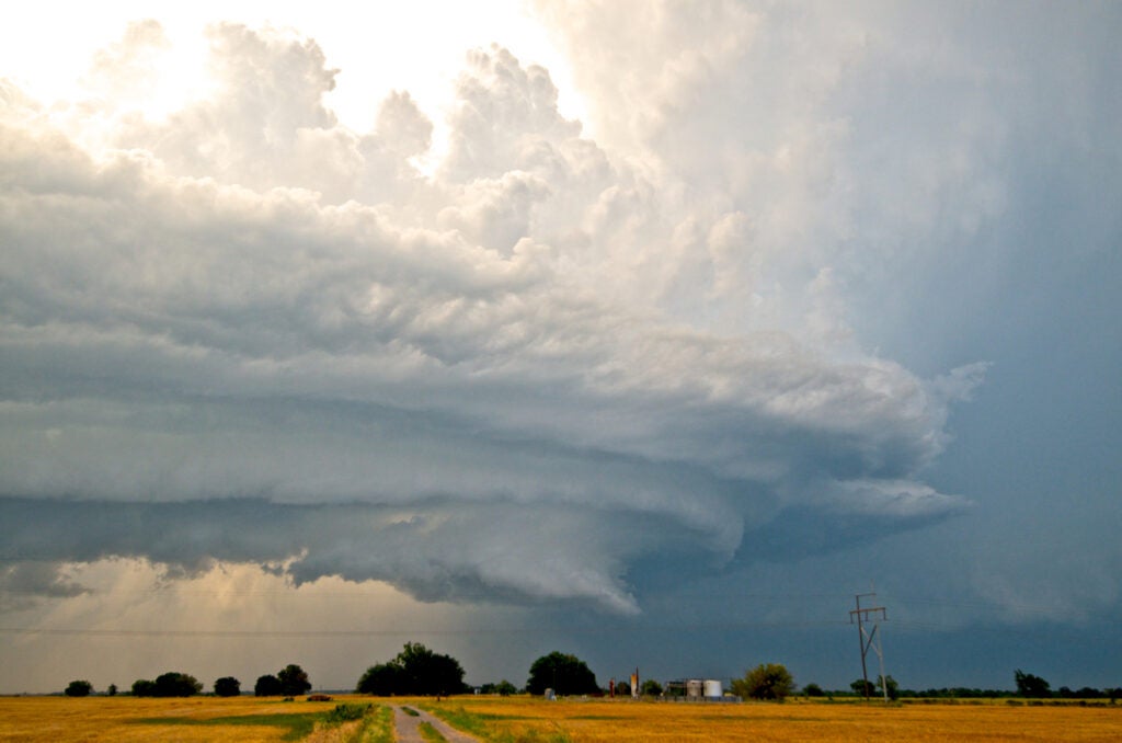 Splash-dramatic-storm-clouds-over-a-rural-yellow-field-2026-03-10-04-49-02-utc