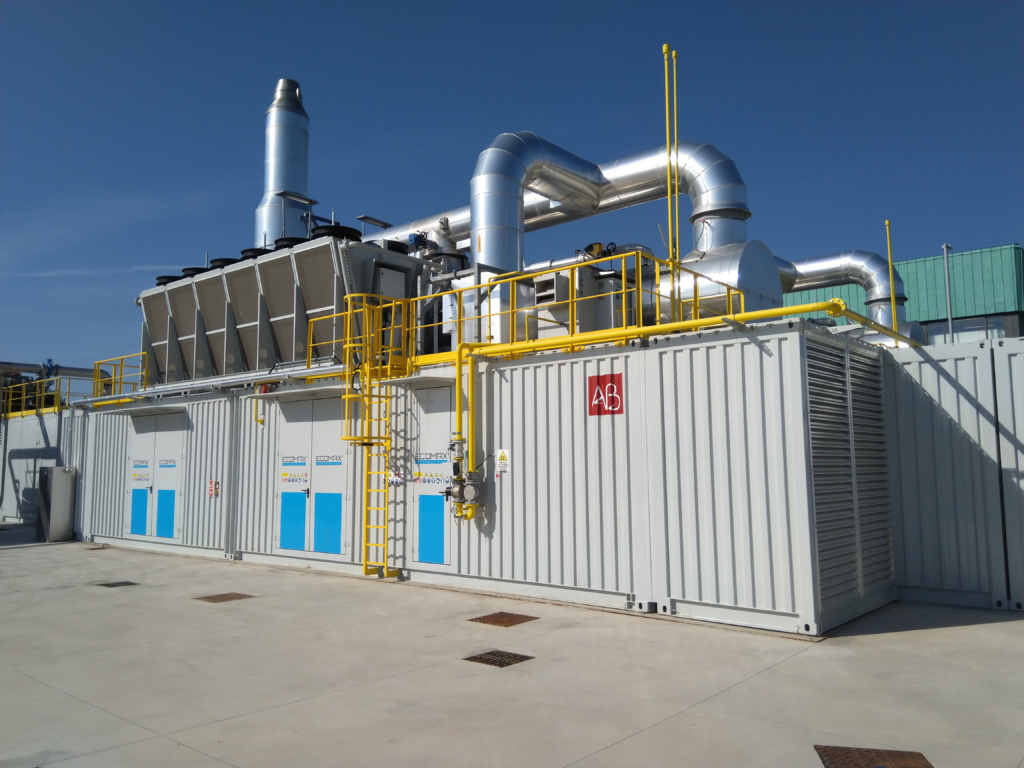 ECOMAX Cogeneration Plant