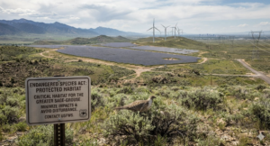Growing Impact of ESA Jurisdiction Amid Unprecedented Energy Demand